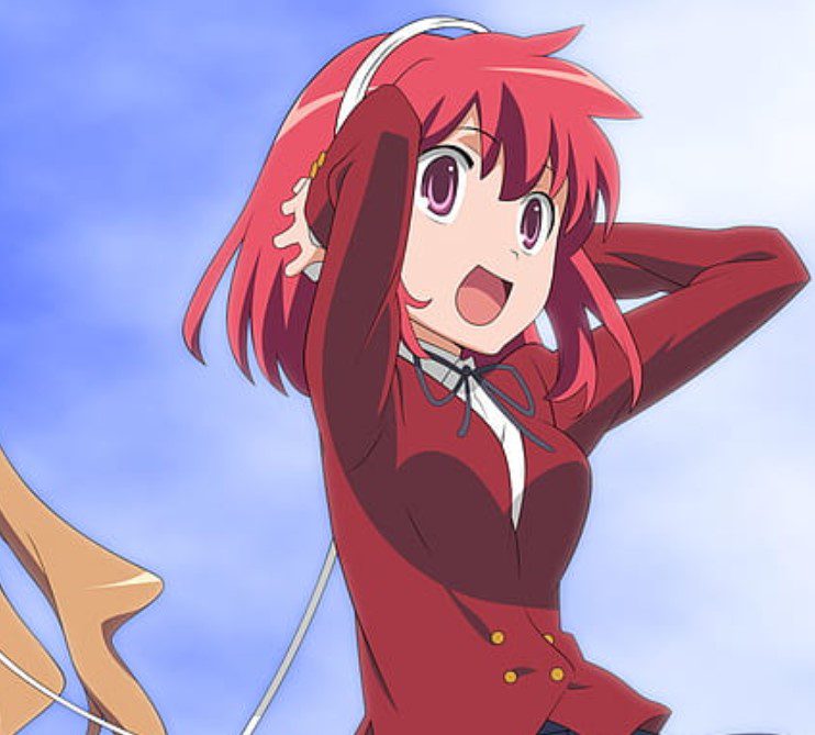 Critique de Toradora Manga
